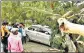  ?? SANTOSH KUMAR/HT PHOTO ?? A tree fell on a car parked near Gandhi Maidan after a heavy storm lashed Patna on May 19.