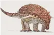  ??  ?? The new species of armoured dinosaur bears the name Borealopel­ta markmitche­llii.