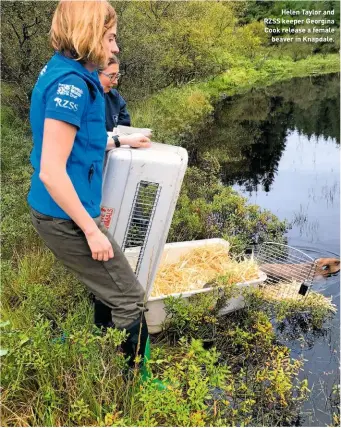  ??  ?? Helen Taylor and RZSS keeper Georgina Cook release a female beaver in Knapdale.