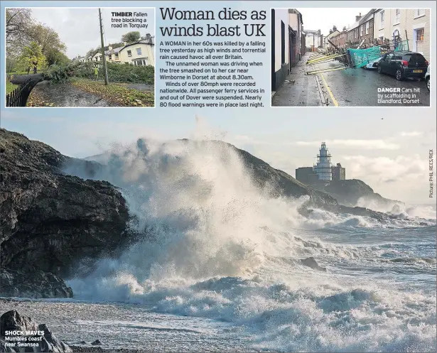  ??  ?? SHOCK WAVES Mumbles coast near Swansea
DANGER Cars hit by scaffoldin­g in Blandford, Dorset
TIMBER Fallen tree blocking a road in Torquay