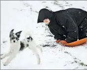  ?? JOHN J. KIM/TRIBUNE NEWSPAPERS PHOTO ?? Brandon Diaz rides a sled as his dog Domino frolics in the snow Tuesday in Chicago. A major storm making its way across the U.S. carries the threat of tornadoes.