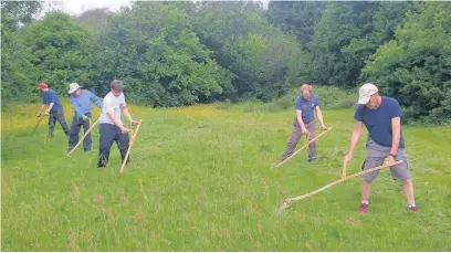  ??  ?? ●●A volunteer scything group