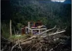  ?? RAMON ESPINOSA — THE ASSOCIATED PRESS FILE ?? In this Saturday file photo, the foundation of a heavily damaged house stands amid broken trees in the mountains after the passing of Hurricane Maria in the San Lorenzo neighborho­od of Morovis, Puerto Rico.