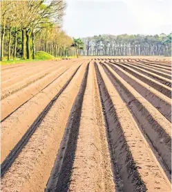  ?? Picture: Getty. ?? Growth in UK farm productivi­ty has significan­tly lagged behind other countries such as the US.