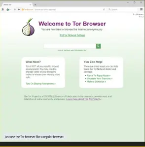  ??  ?? Just use the Tor browser like a regular browser.