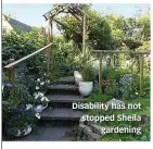  ??  ?? Disability has not stopped Sheila gardening