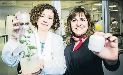  ?? LLIBERT TEIXIDÓ ?? Isabel Ramos y Begoña Sanjuán con los ingredient­es de Vytrus y su producto propio, Ayuna