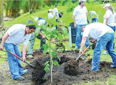  ?? UE ?? Santander se adhiere al mayor plan de reforestac­ión de España, que plantará más de 60 millones de árboles