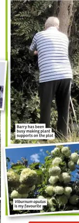  ??  ?? Barry has been busy making plant supports on the plot is my favourite