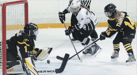  ?? CLIFFORD SKARSTEDT EXAMINER ?? Local hockey organizati­ons like the Peterborou­gh Girls' Hockey Associatio­n are already booking ice at county rinks for the 2019-20 season.