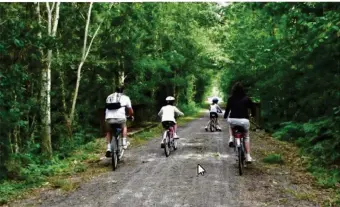  ??  ?? Le tronçon de la Vélo Francette entre Domfront et Ceaucé sera terminé à l’été 2017.