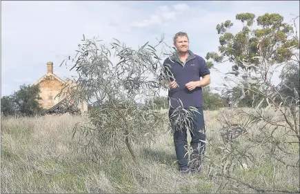  ??  ?? PROUD: Tim Inkster stands on his family’s Antwerp property. The family has partnered with environmen­t protection agency Trust for Nature, volunteeri­ng to place a conservati­on covenant on their land.
Picture: PAUL CARRACHER