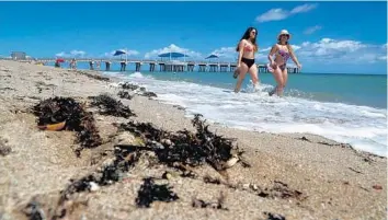  ?? CARLINE JEAN/SOUTH FLORIDA SUN SENTINEL ?? Beachgoers walk along the shore in Pompano Beach.