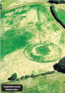  ??  ?? Cropmarks reveal
historic sites.