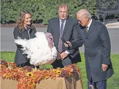  ?? JACK GRUBER/ USA TODAY ?? President Joe Biden pardoned Chocolate and Chip, the 2022 National Thanksgivi­ng Turkey and its alternate, on Monday on the South Lawn of the White House.