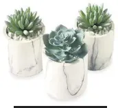  ??  ?? Set of three marble effect succulent pots, with faux plants, £18, Next