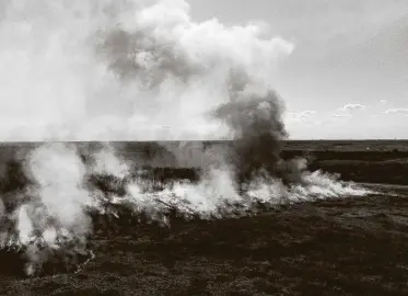  ?? Photos by Elizabeth Conley / Staff photograph­er ?? Above: Smoke rises as five local fire department­s work on a controlled prairie burn Saturday at UH Coastal Center in La Marque. Where and when burns are conducted depends on the direction of the wind so smoke doesn’t reach populated areas.