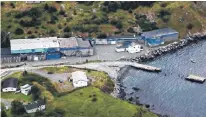  ??  ?? A company from St. John’s hopes to use the former groundfish plant in Tors Cove to process seal oil and meat into omega-3 oils and nutraceuti­cals for the food industry