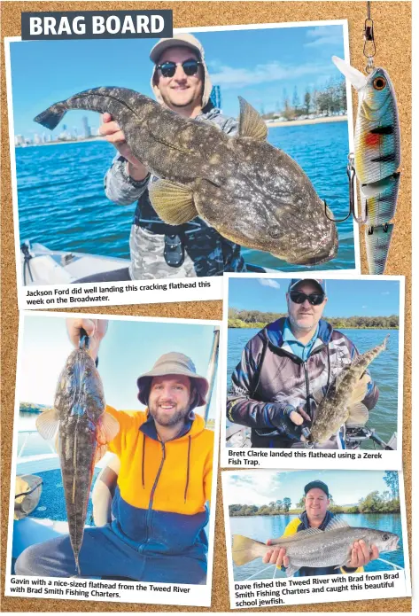  ?? ?? this landing this cracking flathead Jackson Ford did well week on the Broadwater.
Gavin with a nice-sized flathead from the Tweed with Brad Smith Fishing River Charters.
Brett Clarke landed this flathead using a Zerek Fish Trap.
Brad from Brad Tweed River with
Dave fished the and caught this beautiful Smith Fishing Charters school jewfish.