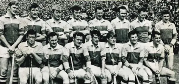  ??  ?? The Wexford Senior Hurling team, All-Ireland winners in 1968.
