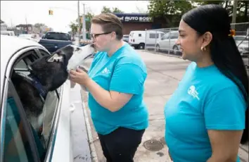  ?? Aristide Economopou­los/Washington Post ?? Nikki Smith, left, and Sharmila Colquhoun are special case advocates in New York who work to reunite people with their pets. The dog in the car was brought to their shelter with hopes it would be identified.