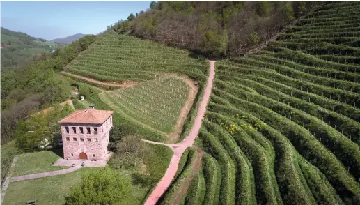  ??  ?? À Irouléguy, Jean Brana consacre 950 heures par an à tailler l’herbe dans ses vignes en terrasses pour éviter l’utilisatio­n de produits chimiques.