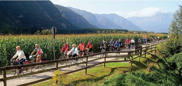  ?? (Antonio Dalla Venezia) ?? Da nord a sud Dall’alto: cicloturis­ti sulla ciclabile della Valsugana, in Trentino (Albano Marcarini); sosta davanti alla fontana dei Dodici mesi, a Torino (Daniele Rimbaldi); un ciclista in discesa vicino a Marsciano, in provincia di Perugia (Shuttersto­ck); cicloturis­ta sul Gargano (Francesco Venezia); una comitiva in piazza del Duomo a Siracusa un