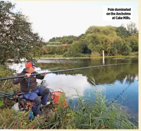  ??  ?? Pole dominated on the Ancholme at Cake Mills.