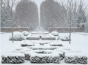  ?? ?? Geometric patterns and strong lines draw the eye in the Mediterran­ean Parterre and Hornbeam Allee — a fresh layer of snow softens the geometry.