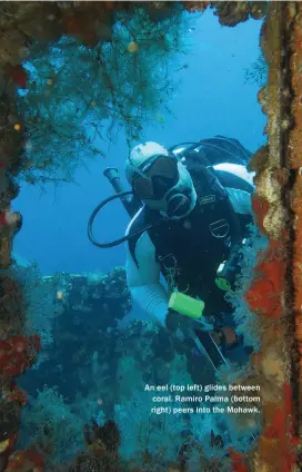  ??  ?? An eel (top left) glides between coral. Ramiro Palma (bottom right) peers into the Mohawk.