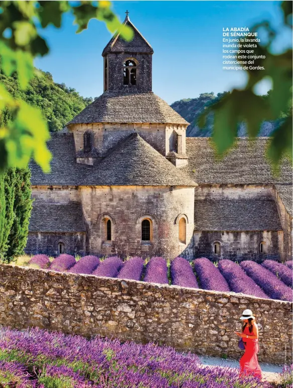  ??  ?? LA ABADÍA DE SÉNANQUE
En junio, la lavanda inunda de violeta los campos que rodean este conjunto cistercien­se del municipio de Gordes.