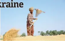  ?? ?? A worker winnows wheat at a farm in Jaliha village in Iraq’s central Diwaniya province.