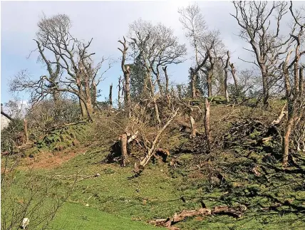  ?? JOHN MASON ?? Some of the damage caused by a tornado at Gogarth Hall Farm in Pennal, Machynllet­h