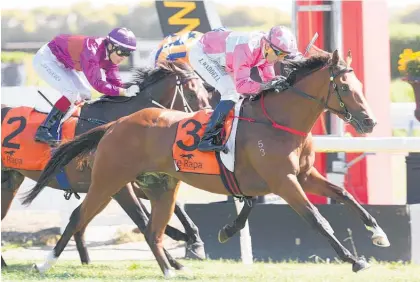  ?? Picture / Trish Dunnell ?? Wyndspelle races into Derby contention by beating Shocking Luck in the Waikato Guineas.