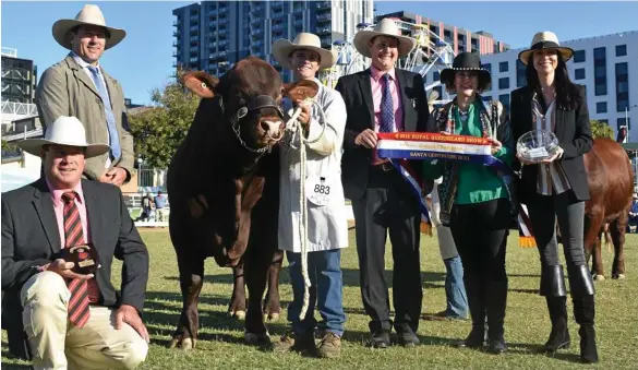  ?? PHOTOS: CASSANDRA GLOVER ?? SURPRISE SUCCESS: Michael Smith, Andrew Bassingthw­aighte, Jack McGee, Tom Baker, Wendy Ferguson and Fiona Bassingthw­aighte with Yarrawonga H Bomb who took out Grand Champion Santa Gertrudis Bull at the Ekka.