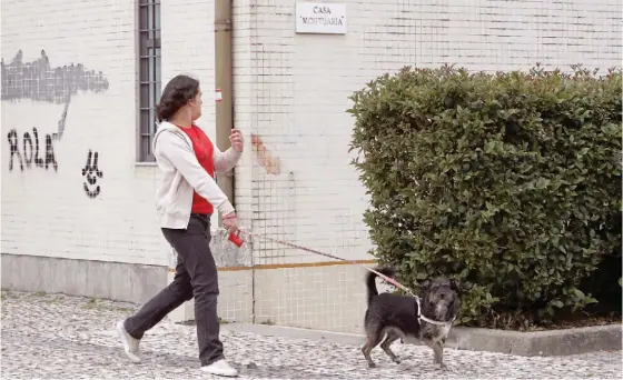  ??  ?? Inês Filipa, de quatro anos, e os pais, Paulo e Águeda, foram atacados pelo rottweiler junto da Capela Mortuária da Igreja de Padrão da Légua