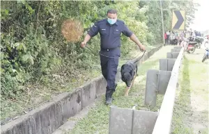  ??  ?? KESAN BUKTI: Unit Anjing Pengesan (K9) digunakan bagi mengesan bahan bukti di sekitar lokasi mayat tanpa identiti dengan kesan terbakar keseluruha­n badan ditemui dalam keadaan tertiarap di tepi Jalan Kuala Terengganu-Kelantan di Kampung Padang Air dekat Tepoh dekat Kuala Nerus, semalam.