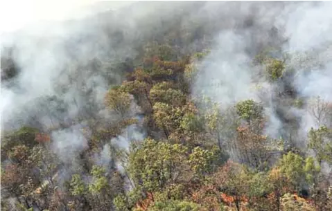  ?? PCJALISCO ?? Pablo Lemus y Magdalena Ruiz Mejía señalaron ayer por la tarde que el incendio se encontraba en fase de liquidació­n. |@