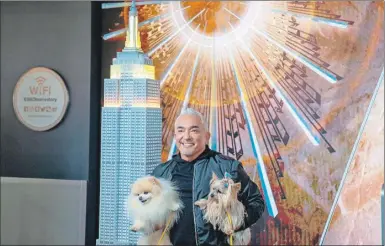  ?? ?? César Millán Favela posa con dos de sus perros después de encender la iluminació­n del Empire State por sus 20 años de carrera televisiva