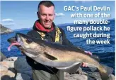  ??  ?? GAC’s Paul Devlin with one of the many doublefigu­re pollack he caught during the week