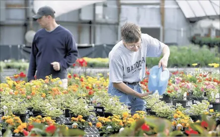  ?? PHOTOS BY STAN CARROLL/THE COMMERCIAL APPEAL ?? Gene, a resident at The Baddour Center, waters flowers in the recently relocated Garden Center on the grounds of the Senatobia campus. The center, in an area at the rear of the campus with a dedicated entrance off of Woolfolk Road, had its official...