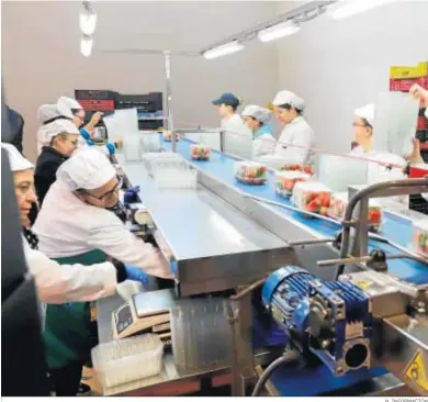  ?? H. INFORMACIÓ­N ?? Proceso de envasado de las fresas recogidas en una empresa de la localidad de Bonares.