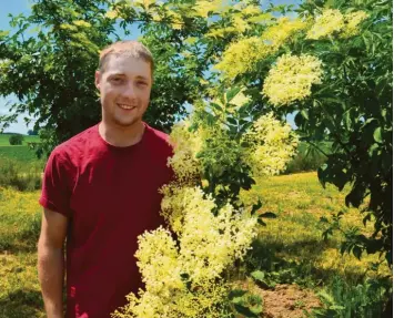  ?? Fotos: Andrea Schmidt-Forth ?? Max Nässl, 22, wird die Landwirtsc­haft in Ried von seinen Eltern übernehmen. Mit dem Holunder kennt er sich schon gut aus: Die Bäume brauchen einige Pflege, tragen dafür aber reichhalti­g.