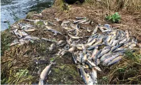  ?? Photograph: Handout ?? British Columbia’s western coasts have seen little rain over the past five weeks and several regions are in drought level four.