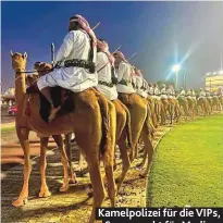  ?? ?? Kamelpoliz­ei für die VIPs, Supermarkt für Medien.