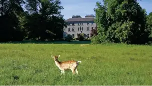  ??  ?? Pictured: Deer on the private estate of Coopershil­l. David finishing his Wild Atlantic Way Cycle Challenge, an epic 2195 km cycle from Kinsale to Muff, Co. Donegal, along steep coastal roads, twisting mountain climbs and welcoming towns and villages. Click here for more.