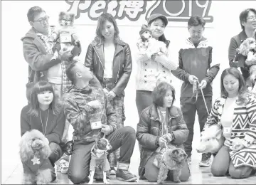  ??  ?? Entrants to the fashion show at Yokohama Pet Expo 2019 onstage. — Washington Post photos by Simon Denyer