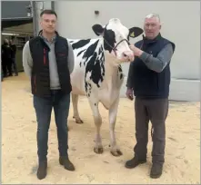  ?? ?? Graham Kirby’s reserve champion, Richaven Chief Adeen topped the sale at 4900gns, pictured with the judge Neil Sloan