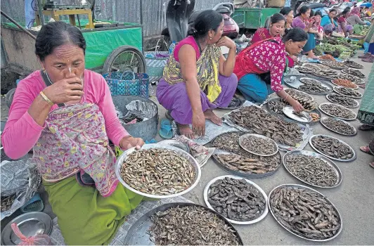  ??  ?? ECONOMIC SAFETY NET: Manipuri women selling dry fish at a ‘Women’s Market’ in Imphal, north-eastern Manipur state in India