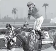  ?? AL DIAZ adiaz@miamiheral­d.com ?? Javier Castellano and City of Light dealt with the tough track conditions for the victory in the Pegasus dirt race.